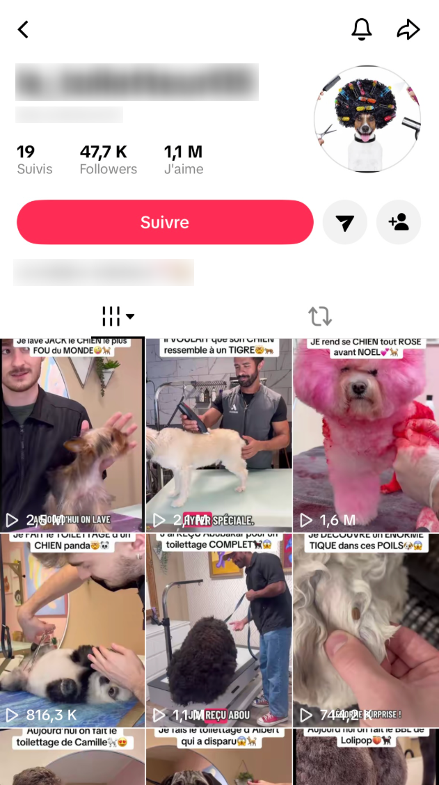 Compte TikTok 2
